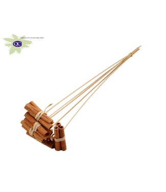 QC Cinnamon possy 3pc per head 8cm raffia on stem Natural ( x 450 )