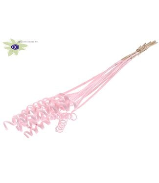 QC Cane Spring on stem Covered Light Pink | Per 50 stuks