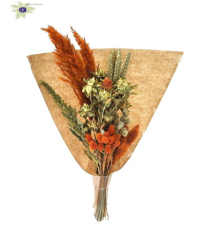 Dried Bouquet BQ 18 | Per 5 stuks te bestellen