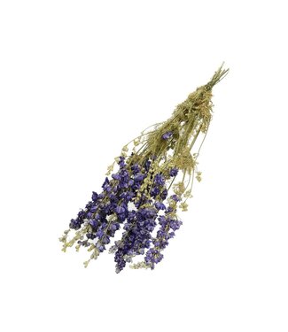 4A Middenblauw gedroogd Ridderspoor | Delphinium droogbloemen | Lengte 60 centimeter | Per bos