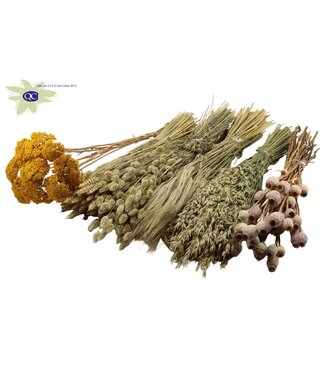 QC Dutch dried Flowers mix 6 bunch various products Natural  | Per stuk