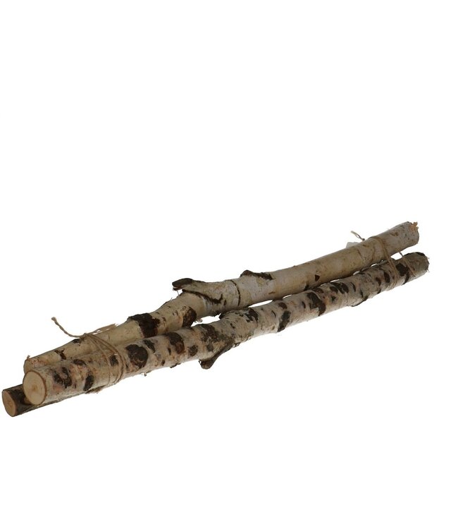 Branches de bouleau séchées naturelles | Longueur 60 centimètres | 3 branches par bouquet | À commander par bouquet