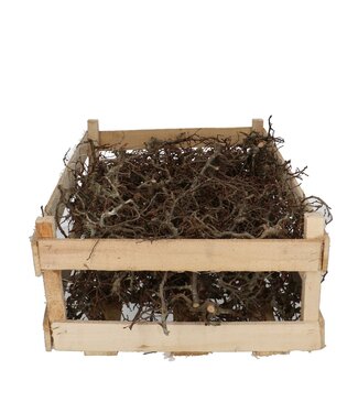 4A Gedroogd Bonsaihout in houten kist | Afmeting 60 x 40 centimeter | Per stuk