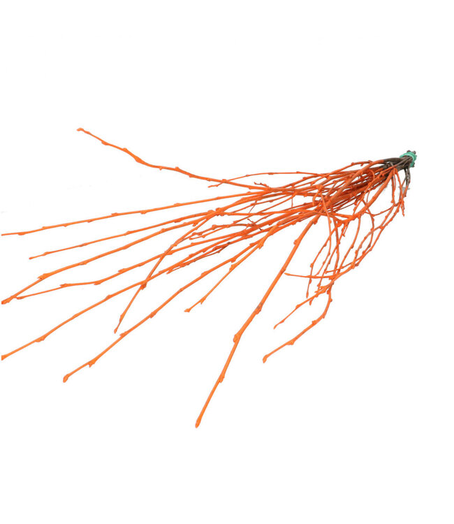Orange dried birch branches | Length 70 centimetres | 10 branches per bunch | Available per bunch