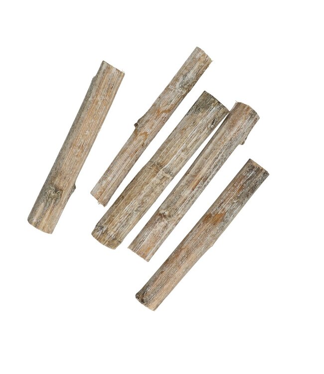 Dried sunflower stems dry deco | Length 20 centimetres | Available to order per 16 pieces