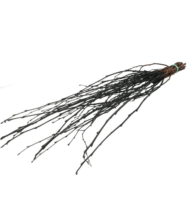Black dried birch branches | Length 70 centimetres | 10 branches per bunch | Available per bunch