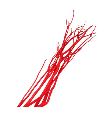 4A Red Mitsumata flocked branches dried deco | Length 115 centimetres | 3 branches per bunch | Per bunch