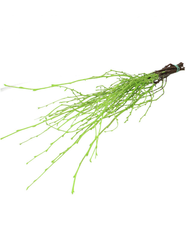 Apple green dried birch branches | Length 70 centimetres | 10 branches per bunch | Available per bunch