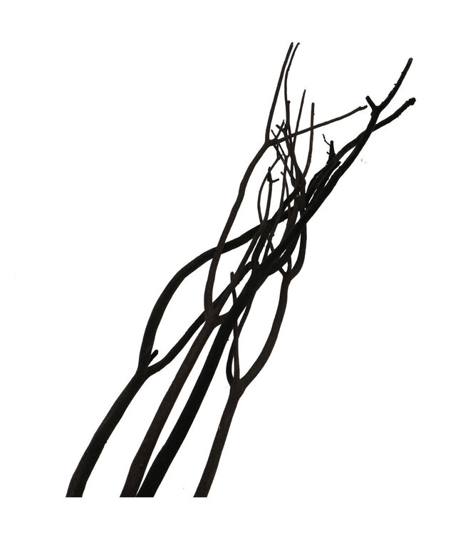 Droogdeco Mitsumata vlok 115cm x3 | Per stuk te bestellen