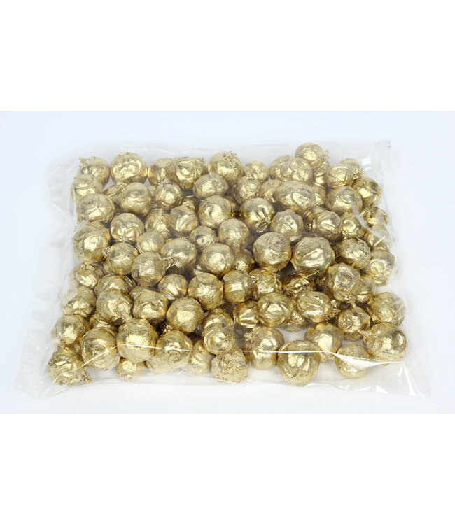 Estrelinia 500gr in poly Gold | Per 4 stuks te bestellen