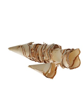4A Naturelle grande bûche de bouleau déco séchée | Par 8 pièces