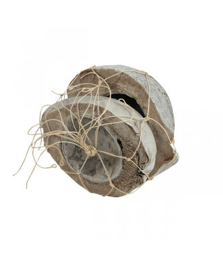 4A Gebleekte halve kokosnoot decoratie | Diameter 20 centimeter | Per 2 stuks