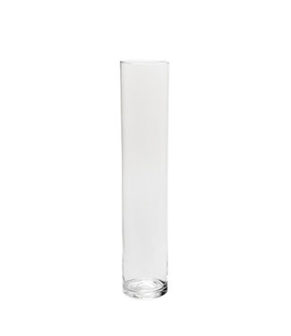 4A Glas Cilinder d10*50cm | Per 6 stuks