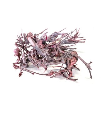 QC Hard Bonsai (150gr) in poly Frosted Pink | Per 6 stuks