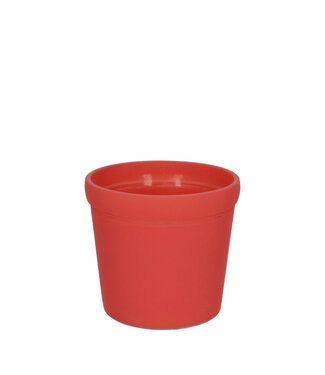 4A Glas Pottz pot d11.5*10.5cm ( x 12 )