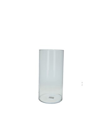 4A Glas Cilinder d20*40cm  | Per stuk