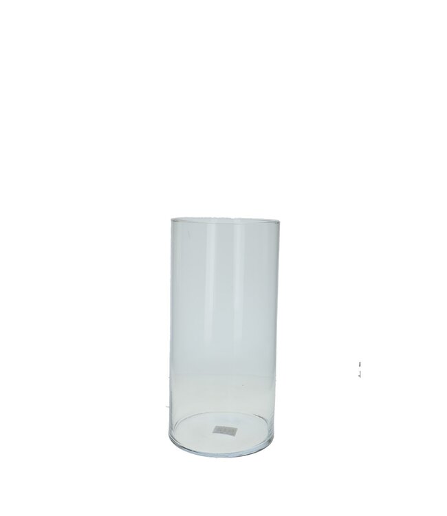 Glas Cilinder d20*40cm | Per stuk te bestellen