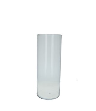 4A Glas Cilinder d20*50cm  | Per stuk