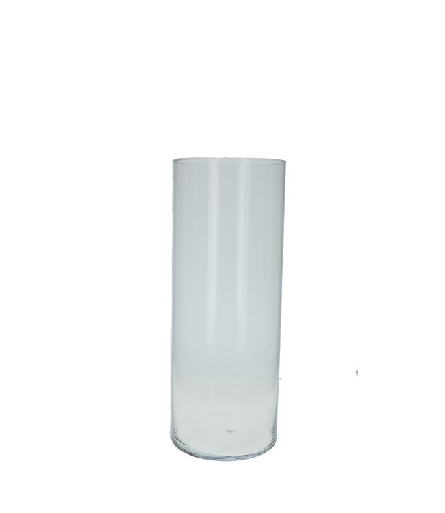 Glas Cilinder d20*50cm | Per stuk te bestellen