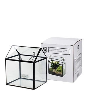 4A Glas Greenhouse LED 17*14*20cm  | Per stuk