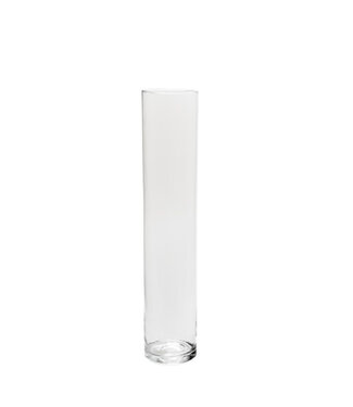 4A Glas Cilinder d10*40cm | Per 6 stuks