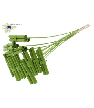 QC Jute Stick Posy on stem Covered Light Green | Per 50 stuks