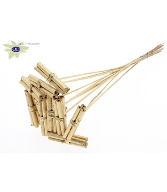 QC Jute Stick Posy on stem Antique Gold | Per 50 stuks