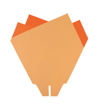4A Oranje Bezüge Magnolia | Abmessung 44 x 44 Zentimeter | Pro 50 Stück