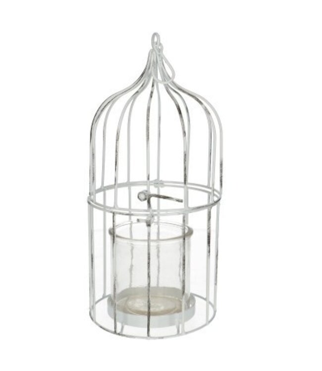 Homedeco Vogelkooi d12*25cm+glas ( x 6 )