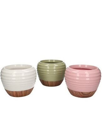 4A Gemengde kleuren keramiek Orchid pot | Diameter 15 centimeter | Hoogte 12 centimeter | Per 6 stuks