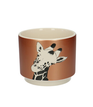 4A Goudkleurige keramiek Giraffe pot | Diameter 13 centimeter | Hoogte 10.5 centimeter | Per 6 stuks