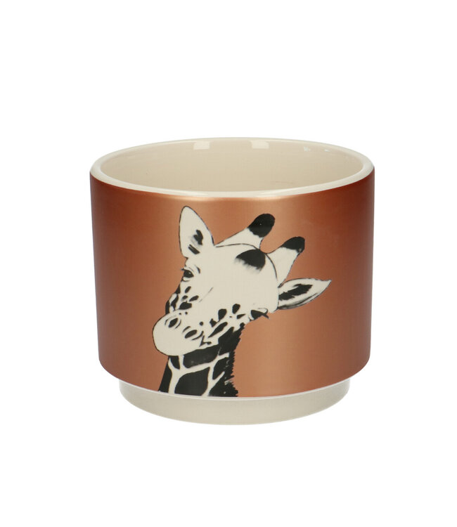 Goudkleurige keramiek Giraffe pot | Diameter 13 centimeter | Hoogte 10.5 centimeter | Per 6 stuks te bestellen