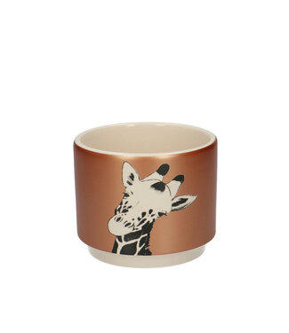 4A Goudkleurige keramiek Giraffe pot | Diameter 10 centimeter | Hoogte 8.5 centimeter | Per 8 stuks