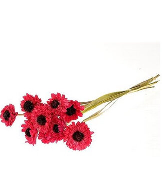 4A Kunstbloemen Germini 60cm x10 ( x 1 )