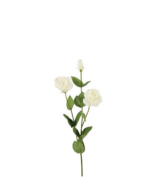 4A Weiße Lisianthus Real Touch Kunstblumen | Länge 73 Zentimeter | Pro 6 Stück