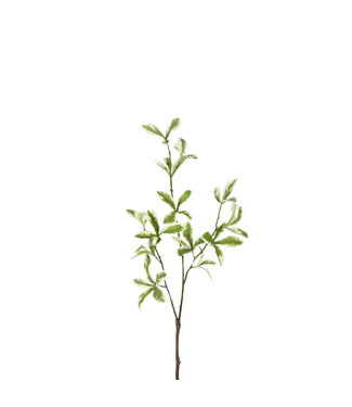 4A Kunstplanten Green leaf 80cm | Per 6 stuks