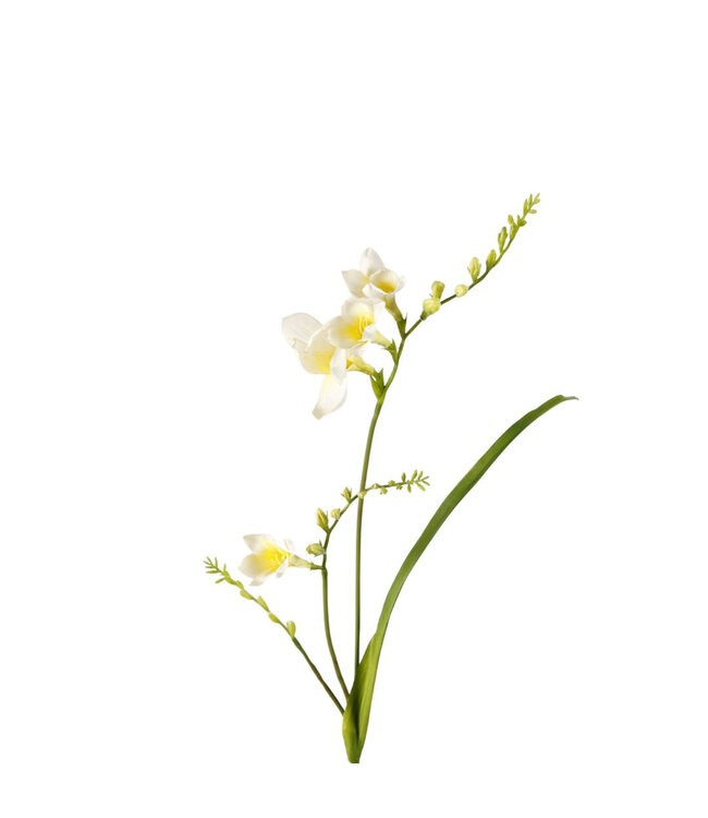 Weiße Freesien Kunstblumen | Länge 81 cm | Bestellt zu 6 Stück