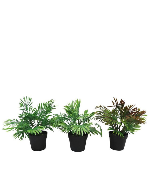 Kunstplanten Pot Palm d30*26cm 3 ass. ( x 12 )