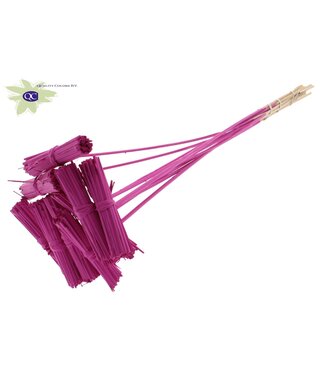 QC Kore Posy on stem Covered Cerise | Per 50 stuks