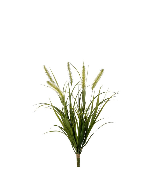 Green foxtail grass artificial plant | Length 58 centimetres | Order 4 pieces