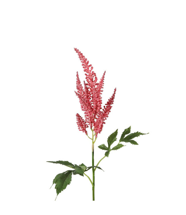 Kunstbloemen Astilbe 67cm ( x 6 )