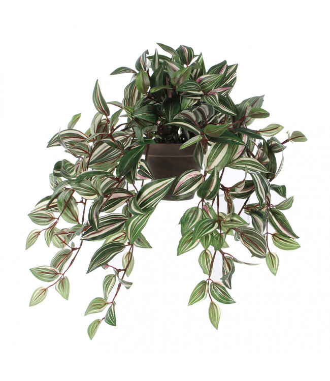 Plante artificielle Tradescantia verte en pot | Taille 11 x 25 x 45 centimètres | Commande par 4 pièces