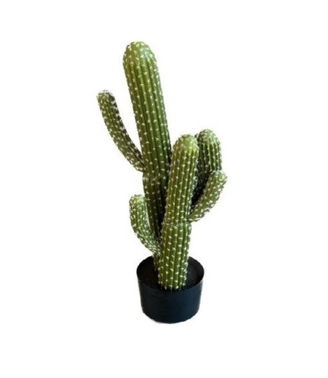 Kunstplanten Pot Cactus d35*83cm ( x 1 )