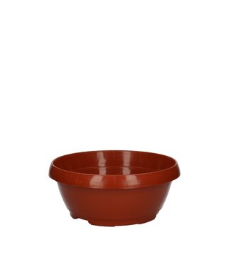 4A Coupe classique en plastique couleur terre cuite | Diamètre 20 centimètres | Hauteur 12 centimètres | Par 10 pièces