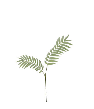 4A Grüner Palmfarn Kunstpflanze | Länge 82 cm | 6 Stück