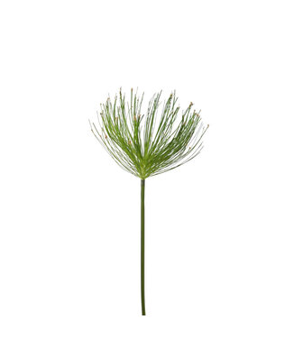 4A Plante artificielle Papyrus vert | Longueur 102 centimètres | Par 6 pièces