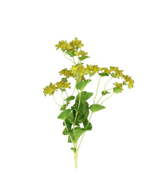 4A Gele Goudscherm | Bupleurum kunstbloemen | Lengte 75 centimeter | Per 4 stuks