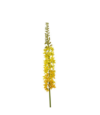 4A Kunstbloemen Eremurus 94cm | Per 2 stuks