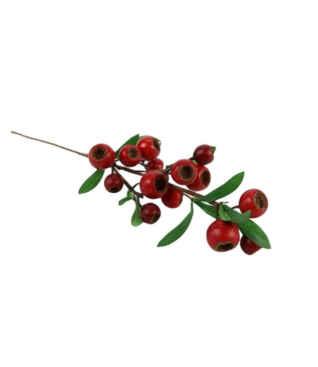 Kunstbloemen Tak taxus 58cm | Per 6 stuks te bestellen