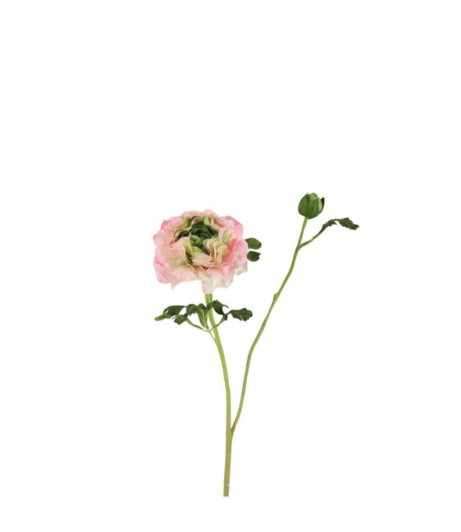 Fleurs artificielles de renoncules rose pâle | Longueur 67 centimètres | Commande de 6 pièces